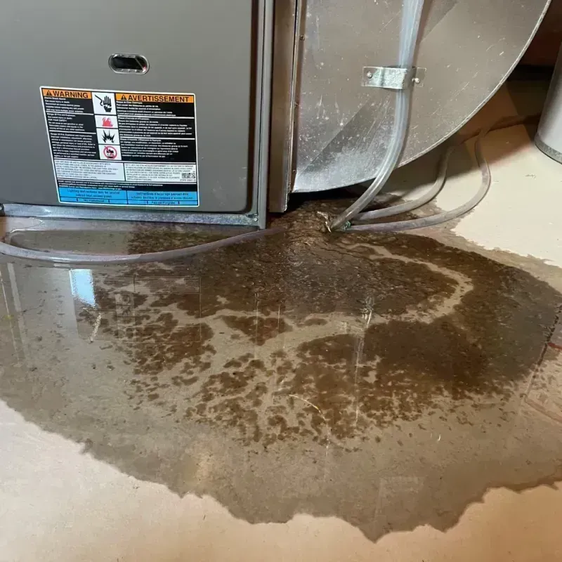 Appliance Leak Cleanup in Marion County, KY